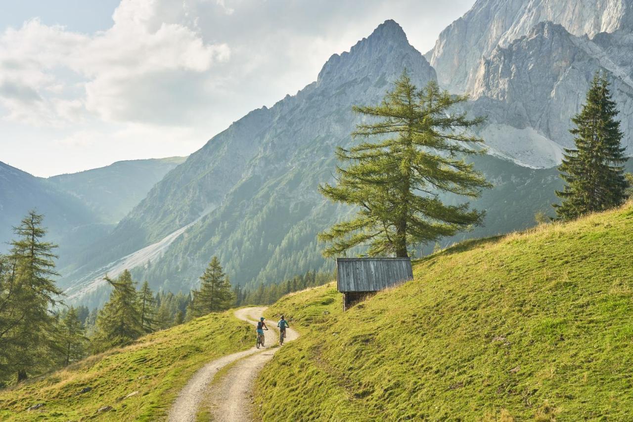 Adlernest Appartement Ramsau am Dachstein Buitenkant foto