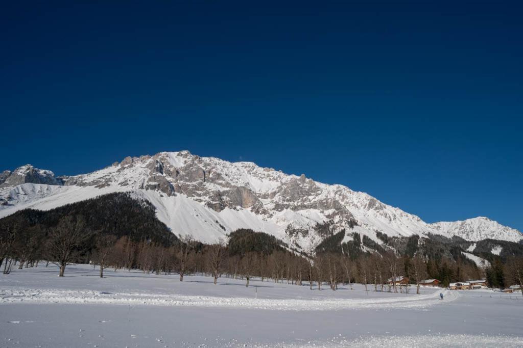 Adlernest Appartement Ramsau am Dachstein Buitenkant foto